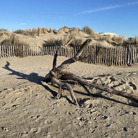 4 Couchages Avec Terrasse Et Parking Privé, Accès Direct - Port Camargue - Fr-1-250-245